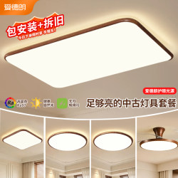Medieval-Style Living Room Ceiling Lamp, Ultra-Thin Hall Main Light, Simple Eye-Protecting Study, Bedroom, Room Lighting, Whole House Package