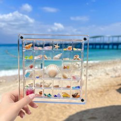 Shell Storage Box, Beach Shell Storage Box, Transparent Box, Acrylic Shell Collection Box, Storage Display Box