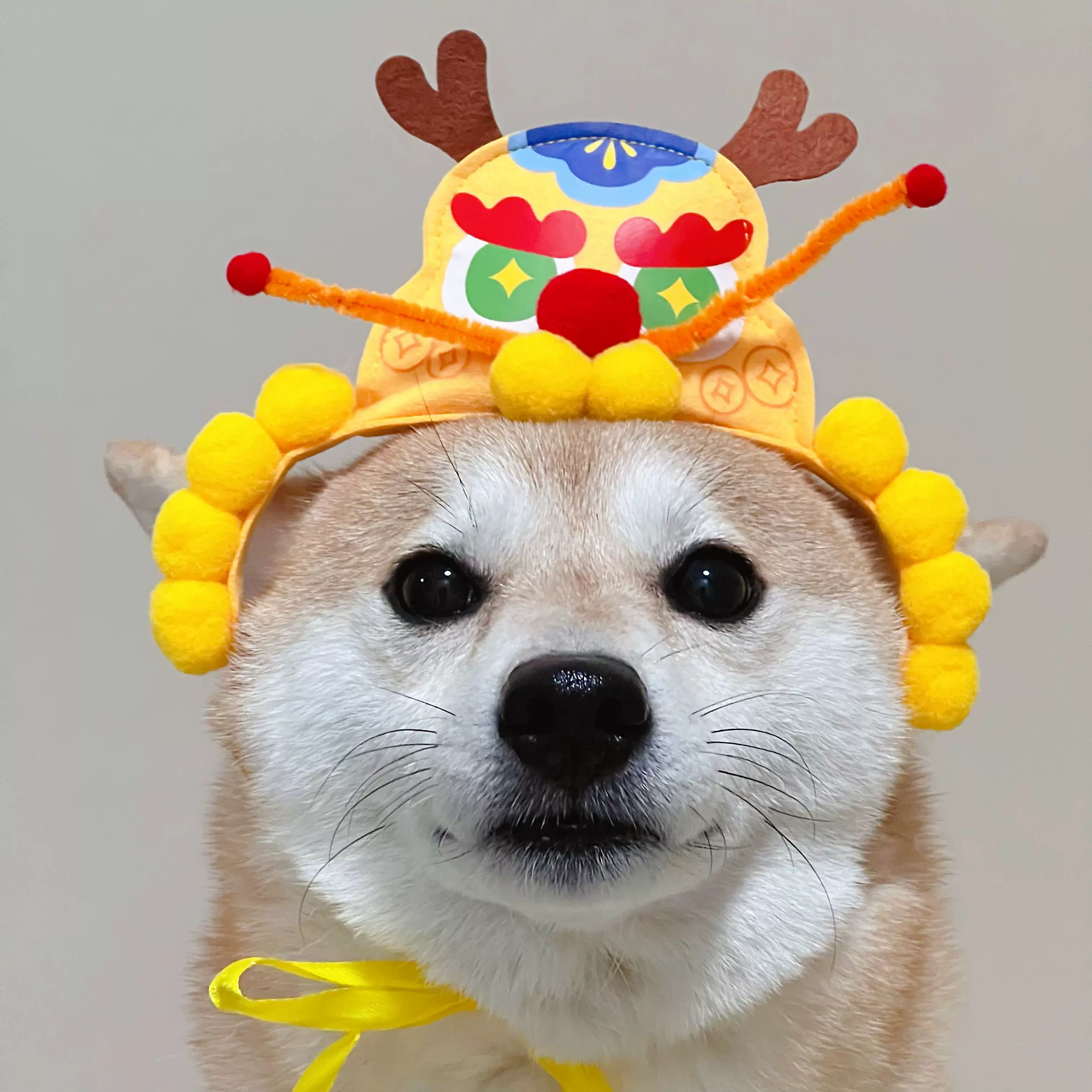 柴犬新年虎头帽龙头老大春节宠物用品猫咪狗狗拜年装扮帽子头饰品