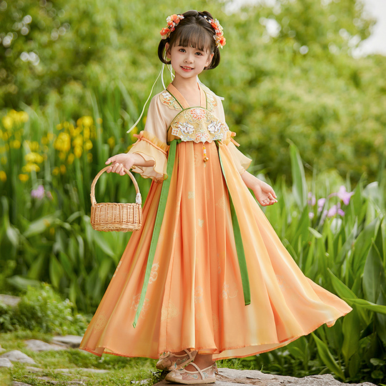 Girls Hanfu Dress Summer Chinese Style Embroidery Princess Costume