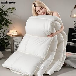 Five-Star Hotel Feather Velvet Thickened Warm Winter Quilt Spring and Autumn Cotton Quilt Core Single/Double Student Dormitory Air-Conditioned Quilt