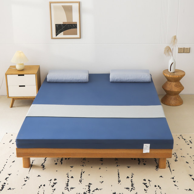 2023 New (Removable and Washable) Memory Sponge Mattress Household Student Dormitory Soft Mattress Single Twin Tatami Mat