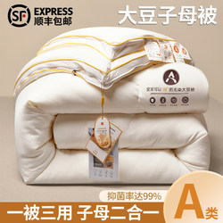 Soybean Quilt, Two-In-One Zippered Quilt, Winter Quilt, All-Season Spring and Autumn Quilt Core, Single/Double Air-Conditioned Summer Quilt, Cotton Quilt