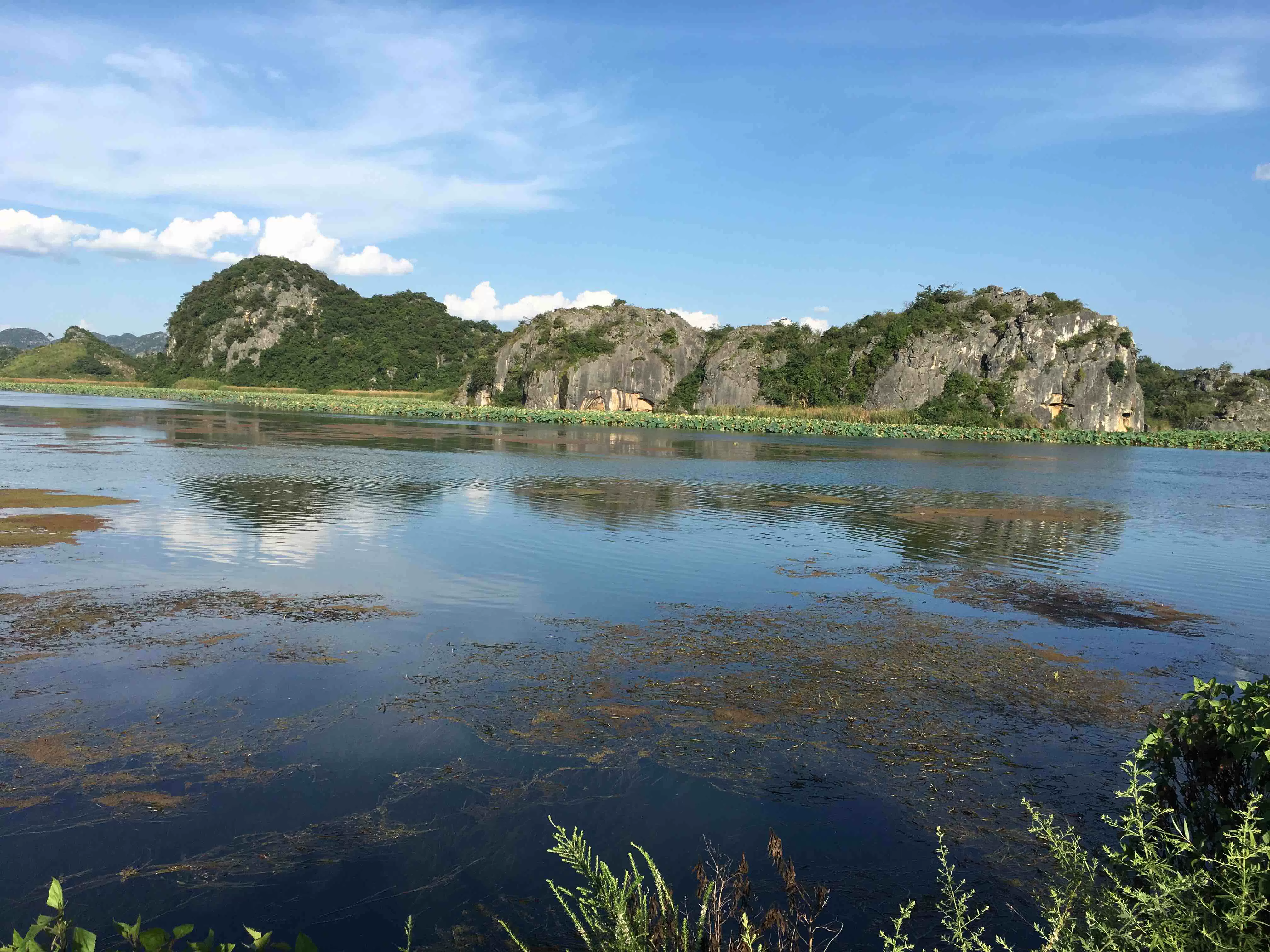 天鹅湖