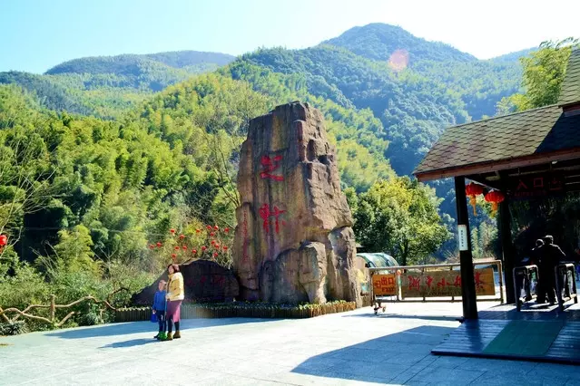 余姚芝林景区图片