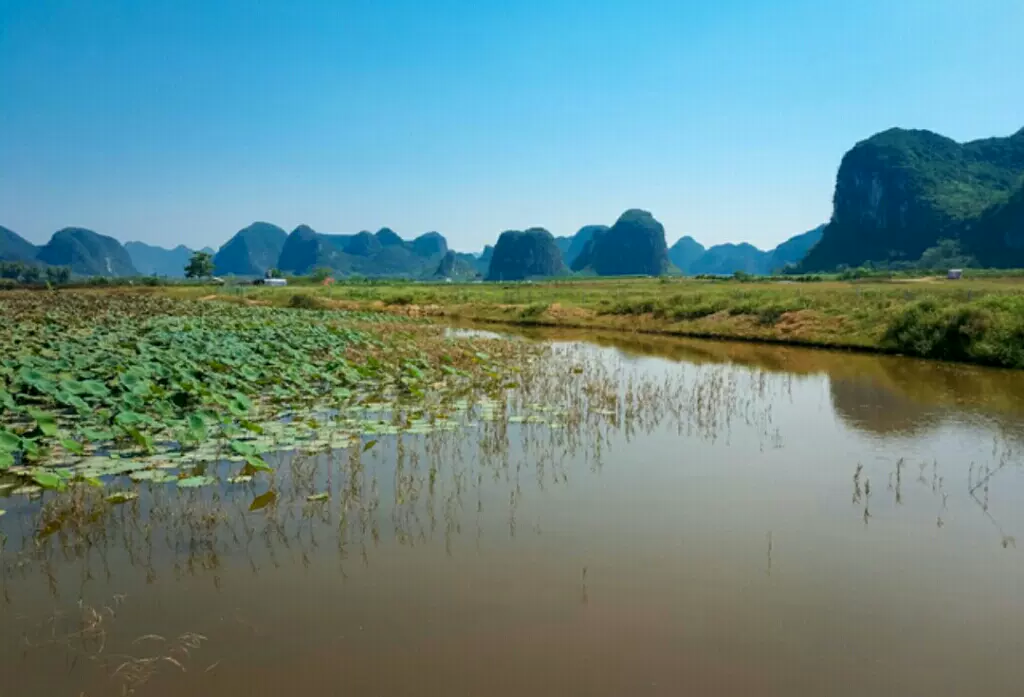 毛塘湿地公园图片