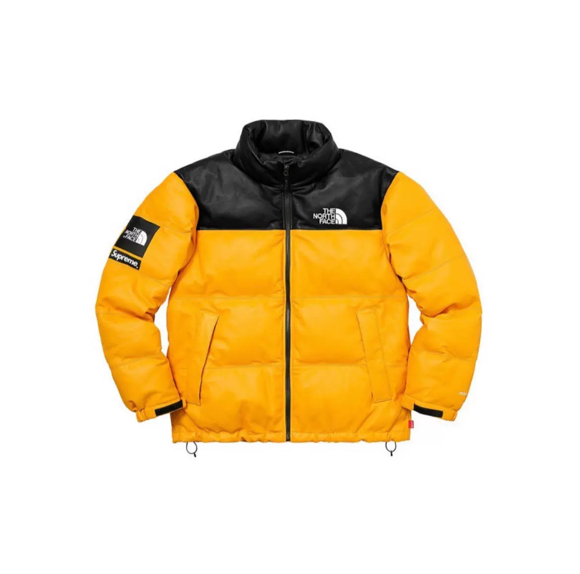 Supreme the cheap north face 17fw