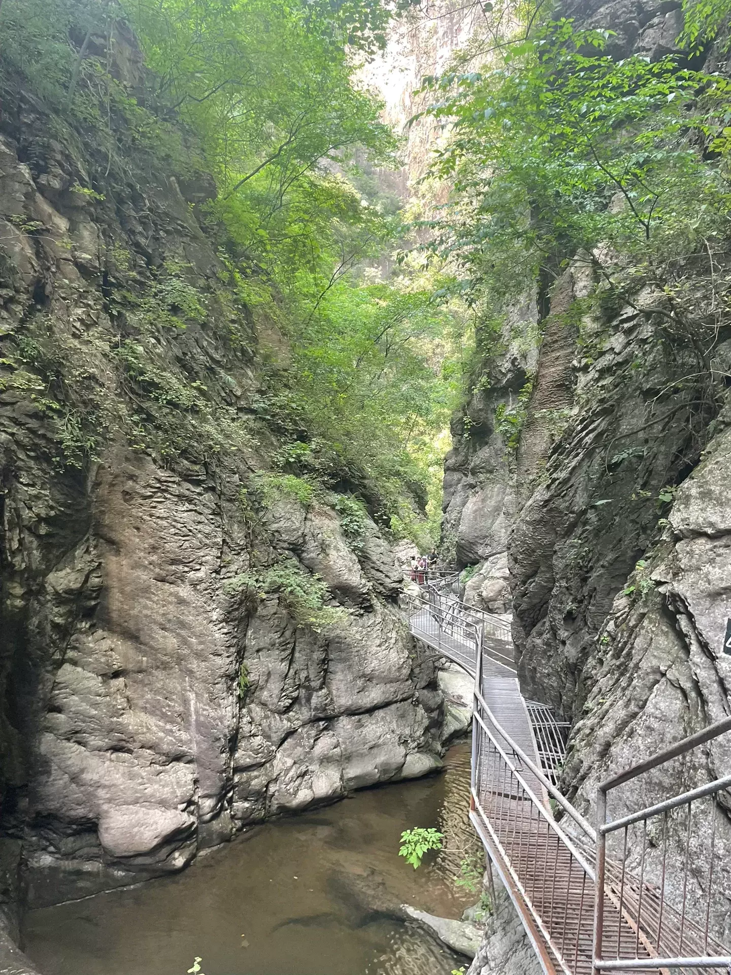 红豆峡景区-冲关大峡谷图片