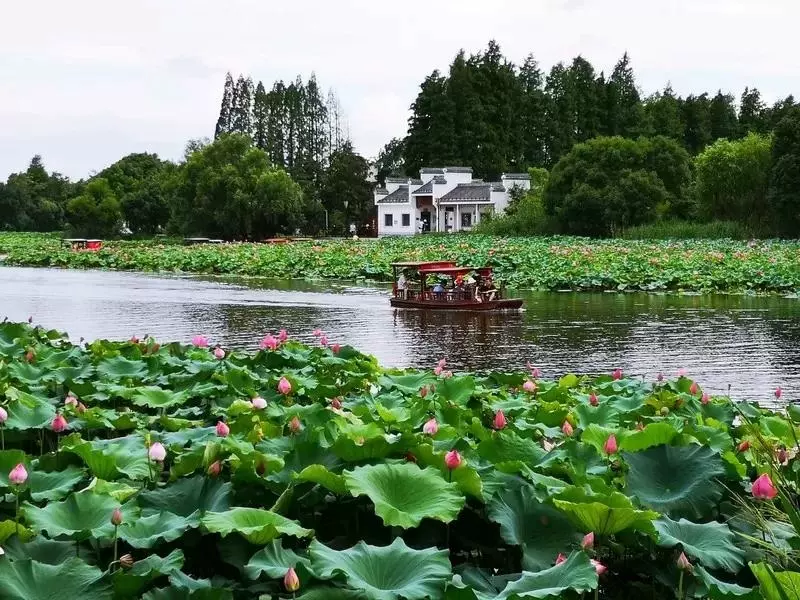 陶辛水韵景区图片