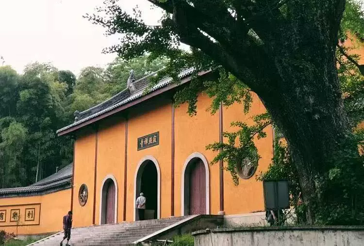 寂照寺图片