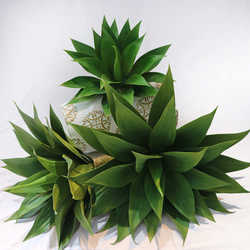 Simulated agave tiger piran fake green plant Nordic tropical desert plant agave succulent plant landscaping decoration