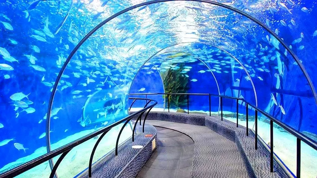 花海游鱼水族馆图片