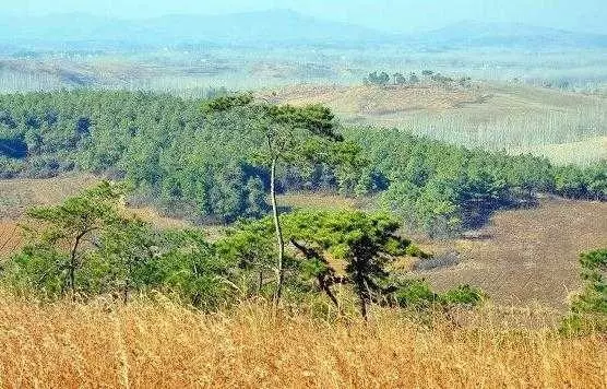 防虎山图片