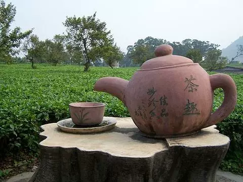 茶趣园图片