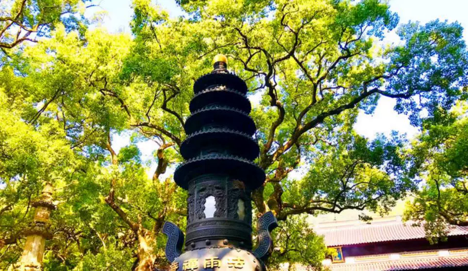 法雨禅寺图片