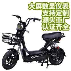 Ce Certified Export Electric Vehicle Ot Electric Bicycle Adult Lightweight Battery Bike 48V