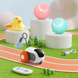 Cat Self-Entertainment Toy, Smart Pet Toy, Electric Cat Teasing Ball, Remote Control Racing Car, Rolling Ball, Cat Teasing Stick