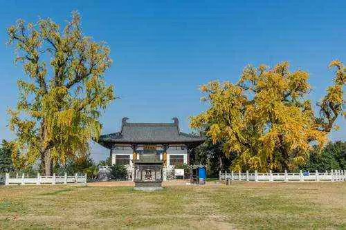 惠济寺遗址公园图片