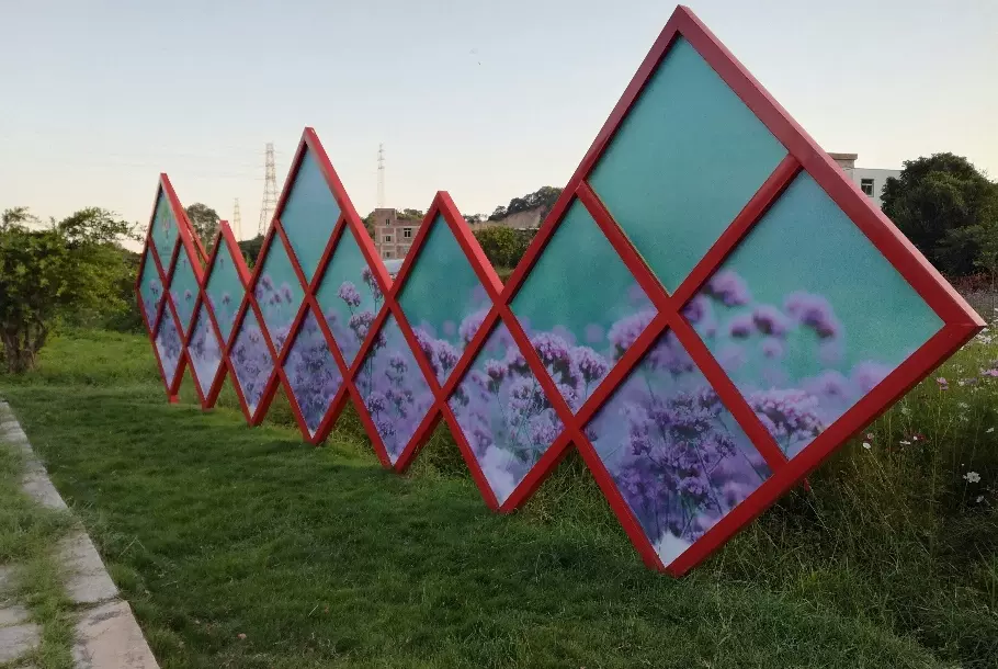 泉州鲜花港图片