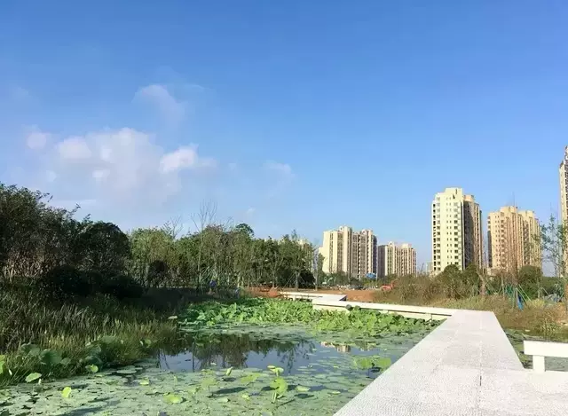 台州市体育中心图片