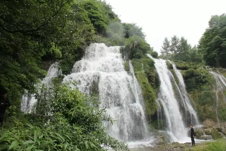 百里杜鹃米底河图片