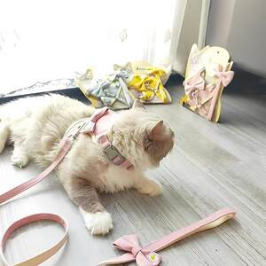
New direct-selling cat chest and back traction rope I-shaped bow knot chest and back comfortable anti-breaking pet supplies cat rope