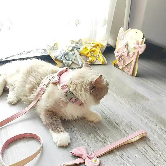 
New direct-selling cat chest and back traction rope I-shaped bow knot chest and back comfortable anti-breaking pet supplies cat rope