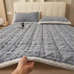 Winter Thickened Mattress, Class a Milk Velvet, Student Dormitory Single/Double Mattress, Home Use, Machine Washable, Taffeta Velvet Mattress