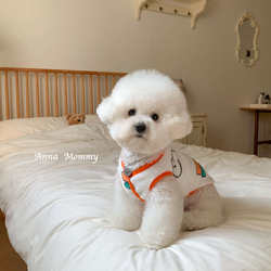 Pet Dog Fleece Vest Teddy Autumn and Winter Clothing Bichon Schnauzer Yorkshire Small Puppy Cat Warm Clothes