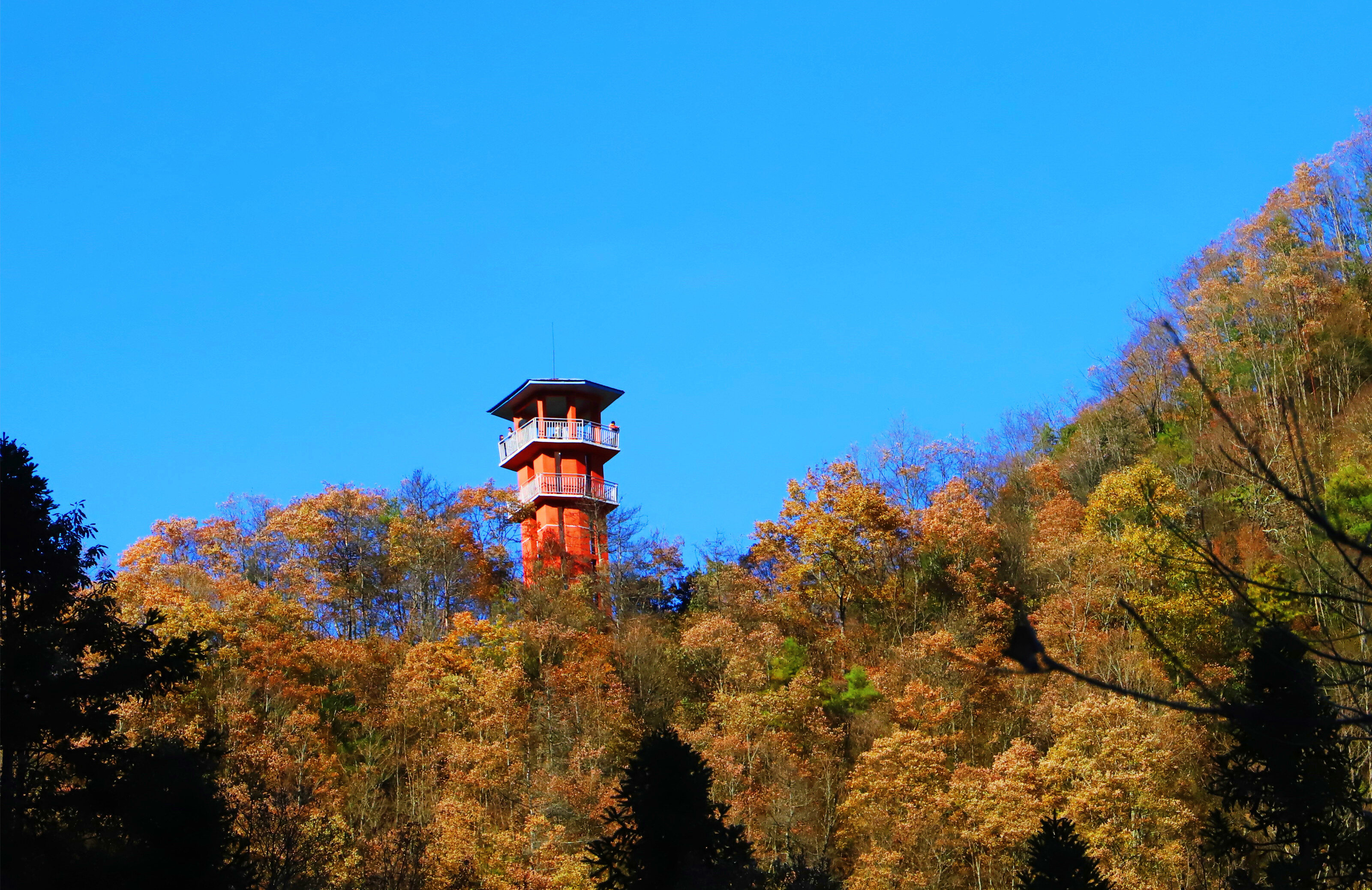 中原豫西抗日纪念园景区天气预报