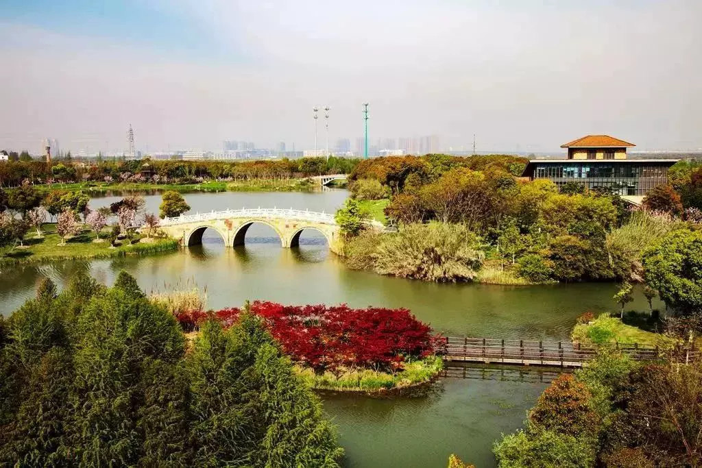 天福国家湿地公园图片