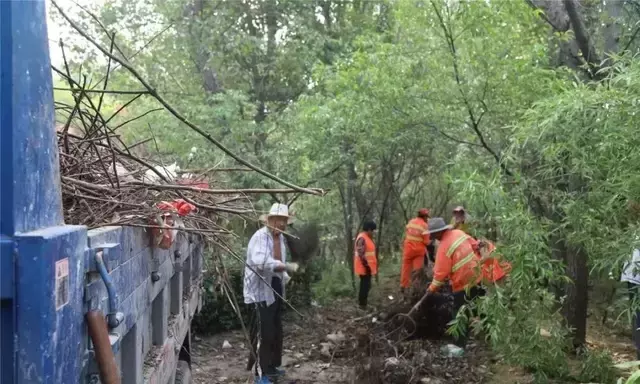 沙河公园图片