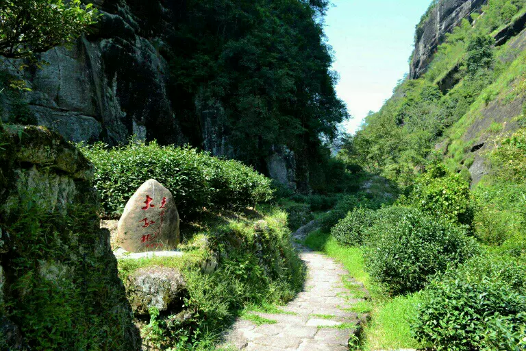 岩骨花香漫游道图片