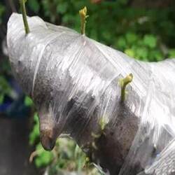 Moisture-Retaining and Fresh-Keeping Wrapping Film, Plastic Protective Film, Stretch Film, Packing Film, Moving Transparent Wrap Film, Industrial Film