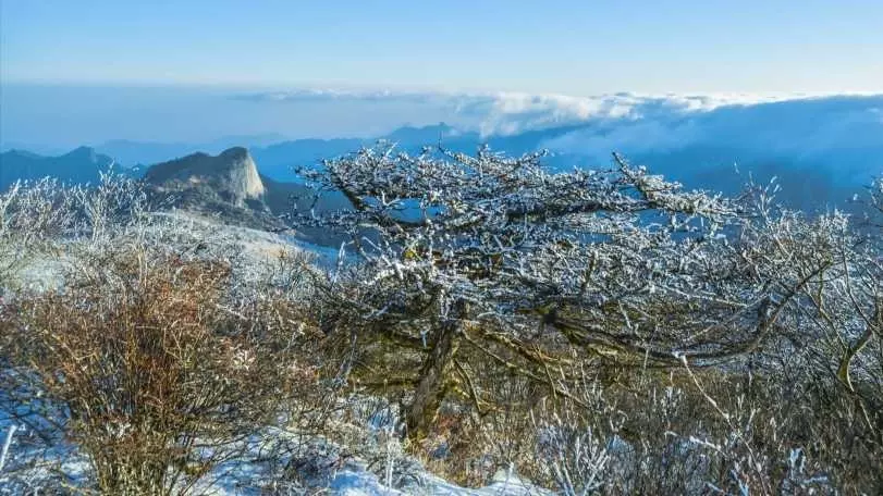 光头山图片