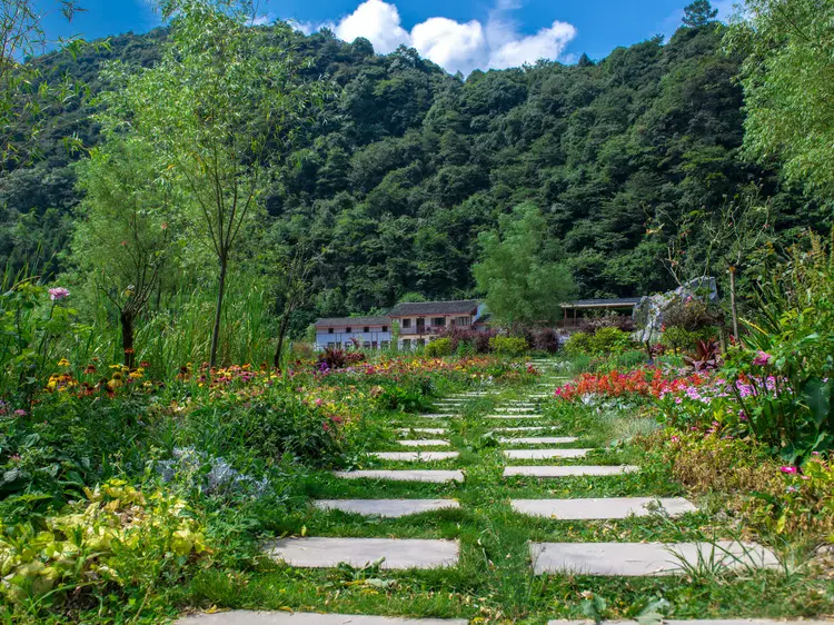 花坝旅游景区图片