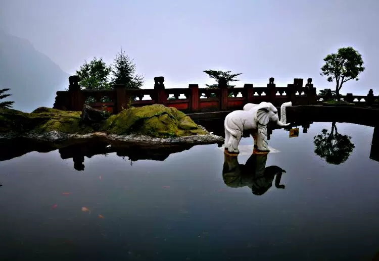 象池夜月图片