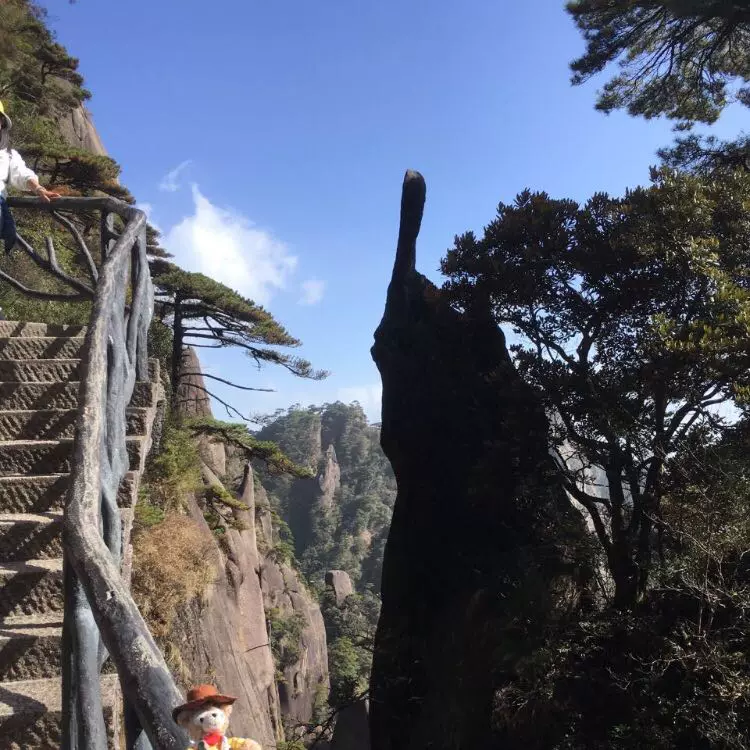 仙人指路图片