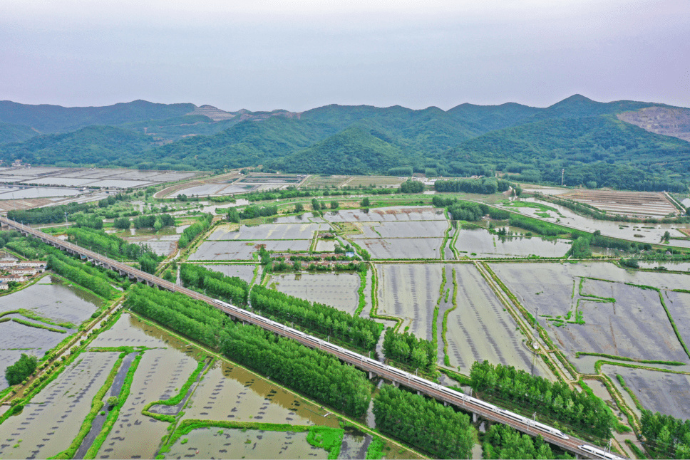 大墅龙山旅游度假区景区天气预报