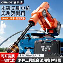 Lithium Battery Car Wash High-Pressure Water Gun, Household Wireless Car Wash Machine, High-Power Portable Car Wash Tool