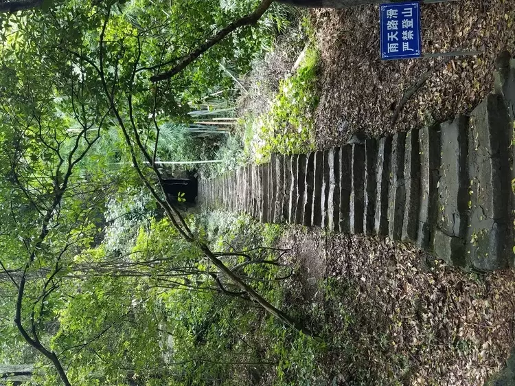 东郎山图片