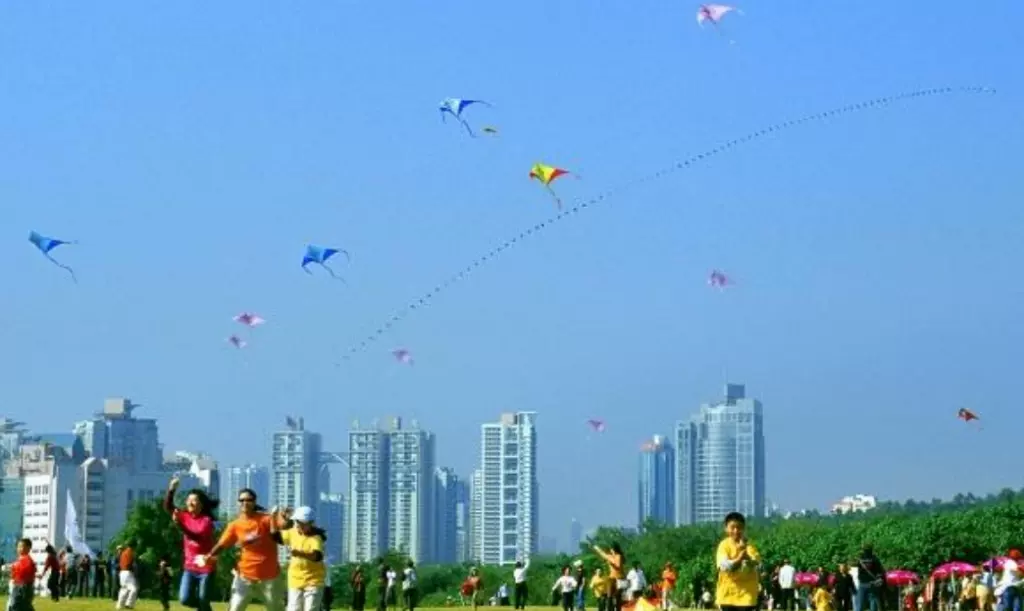 莲花山公园-风筝广场图片