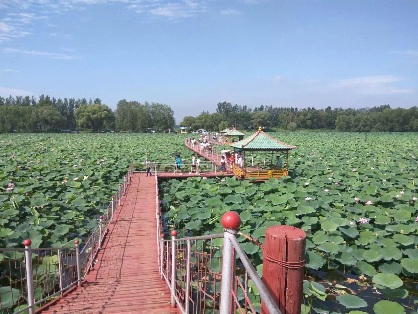 沈阳仙子湖图片