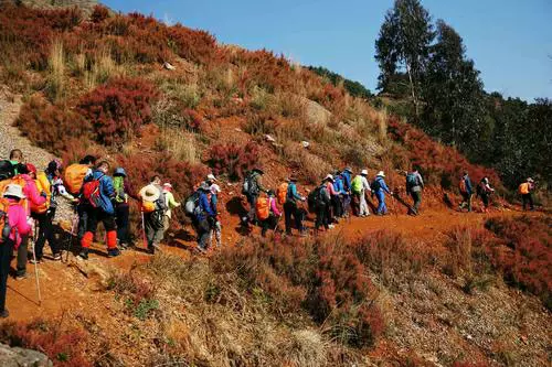 药灵山图片