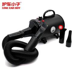 Hot Air Blower for Car Beauty Shops, Water Blower for Car Wash Shops, Engine Compartment Drying Machine, Car Drying and Beautifying Machine