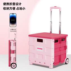 Portable Grocery Shopping Cart, Small Pull Cart with Push Handle, Plastic Folding Supermarket Shopping Cart, Outdoor Camping