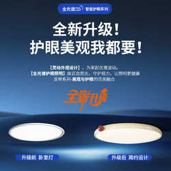 Bedroom girl furniture lamp 2025 new room cream children's simple bedroom lamp French wind lamp main ceiling lamp modern