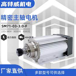 3000 Rpm 3W High-Speed Precision Drilling and Milling Motor Woodworking Machinery Woodworking Drilling and Milling Spindle Motor