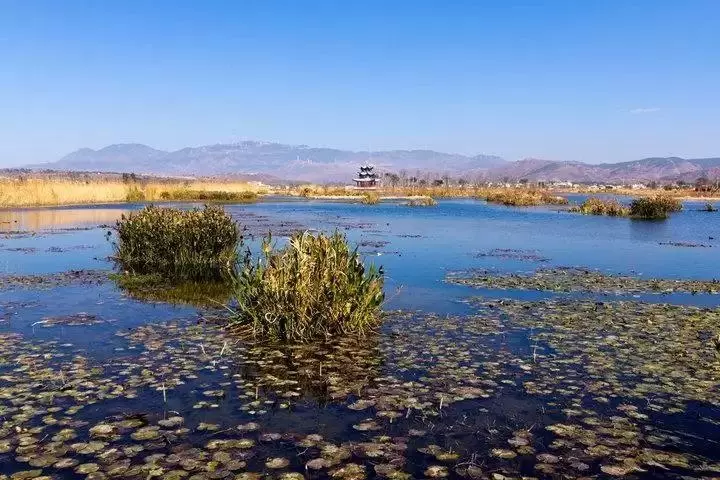 大理市罗时江生态湿地图片