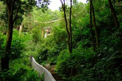 大余县正东山正觉寺图片